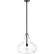 Madelynn 1 Light 16 inch Matte Black Indoor Pendant Ceiling Light